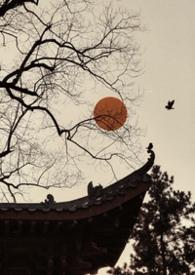 它藏在我的身体里by一渊讲笔趣阁