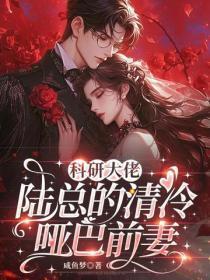 替嫁之将双洁吗