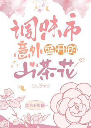 女总裁的极品男神全文免费阅读