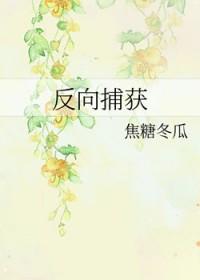 女主叫绯夜