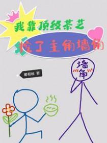 前妻难追