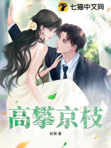 太子今天也宠妻如命免费阅读