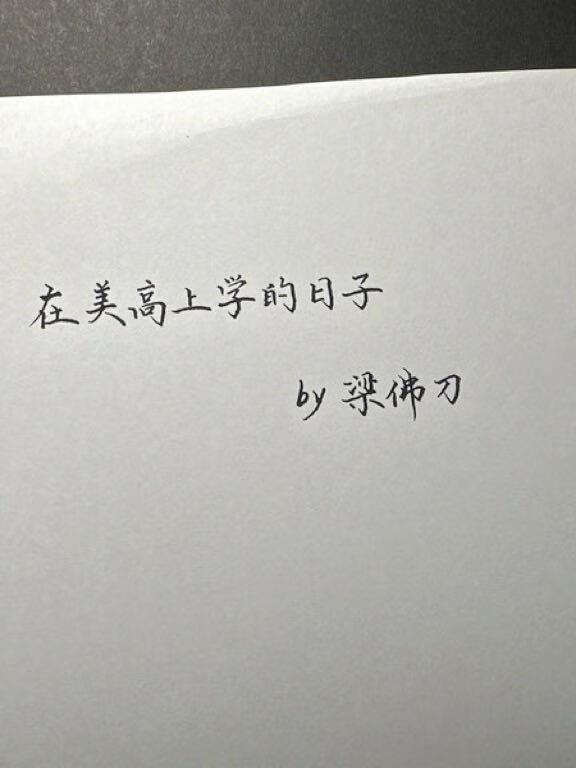 沈先生的心头宝全文免费阅读