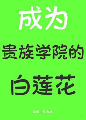 箱子里的大明在线阅读